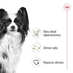 ROYAL CANIN X-Small Adult karma sucha dla psów dorosłych ras miniaturowych 500g