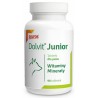 DOLFOS Junior - witaminowo-mineralny suplement diety dla szczeniąt i młodych psów - 1kg proszek torebka PROMO Uszkodzenie ubytek