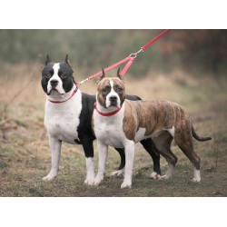 AMIPLAY Dwójnik Basic - Czarny L