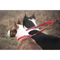 AMIPLAY Dwójnik Basic - Czerwony XL