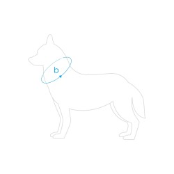 AMIPLAY Obroża regulowana Samba - Szara XS