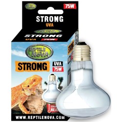 REPTILE NOVA Żarówka Grzewcza Uva - Reptile Nova Strong 75W