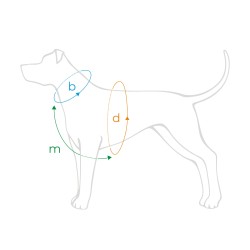 AMIPLAY Szelki Guard Samba - Turkusowe XS