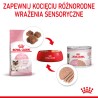 ROYAL CANIN Mother & Babycat Instinctive Mousse – karma mokra – mus dla kociąt od odsadzenia do 4. miesiąca życia 6x 195g