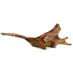 AQUAEL Korzeń Mangro M