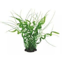 AQUAEL Roślina Kępkowa Cp-035 8 (20 cm)