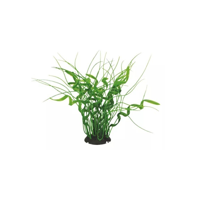 AQUAEL Roślina Kępkowa Cp-035 8 (20 cm)