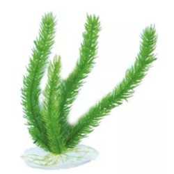 AQUAEL Roślina Plastikowa Ap-048 8 (20 cm)