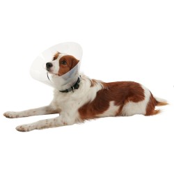 KRUUSE BUSTER Clic Kołnierz ochronny transparentny 10 cm