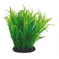 AQUAEL Roślina Kępkowa Pr-410 4 (10 cm)