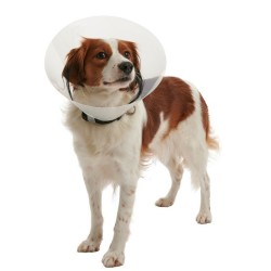 KRUUSE BUSTER Clic Kołnierz ochronny transparentny 40cm