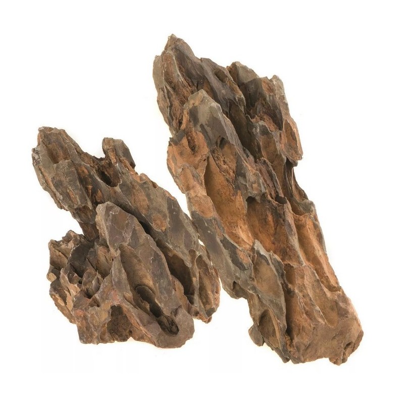 AQUAEL Kamień Dinosaur Bone Mix