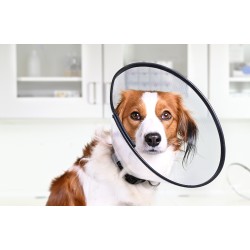 KRUUSE BUSTER Comfort Kołnierz ochronny 25 cm