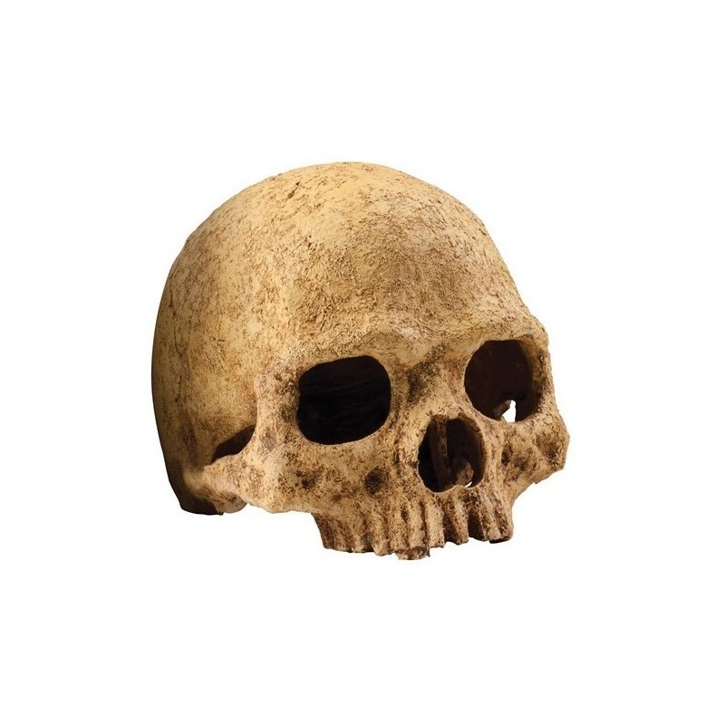 EXO TERRA Kryjówka Czaszka ludzka