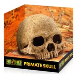 EXO TERRA Kryjówka Czaszka ludzka