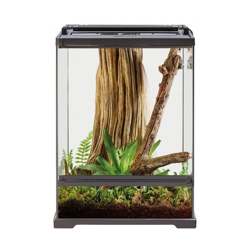 EXO TERRA Dart Frog Terrarium dla żab L 45 x 45 x 60cm