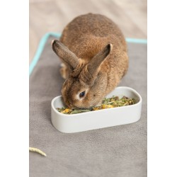 TRIXIE Miska dla gryzoni owalne ceramika 600 ml/22 x 10 cm