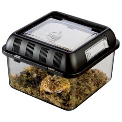 EXO TERRA Box hodowlany S 20,5 x 20,5 x 14 cm