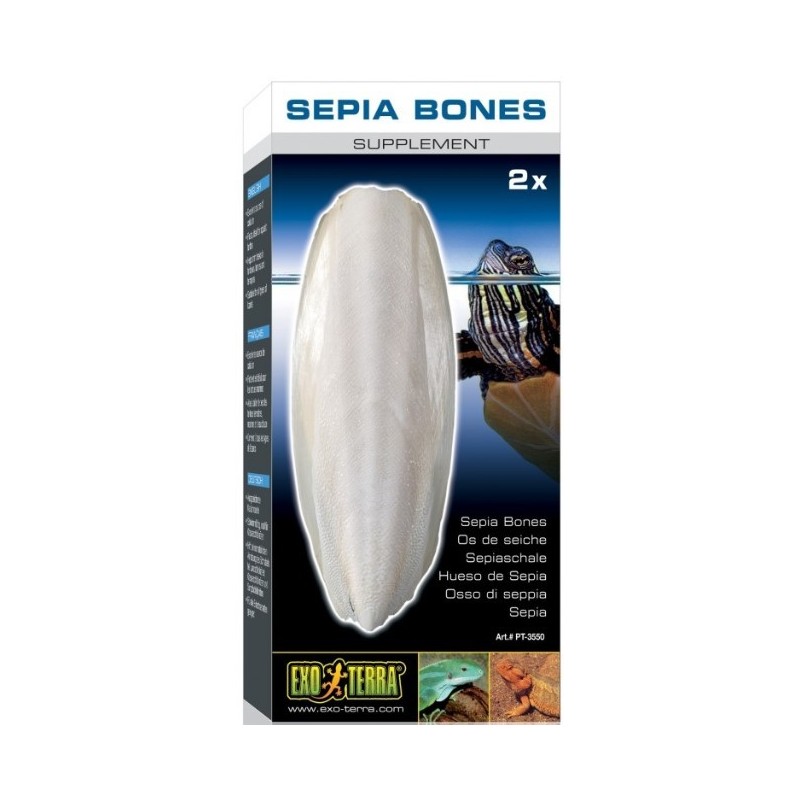 EXO TERRA Sepia dla żółwia