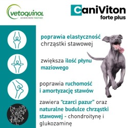 VETOQUINOL Caniviton Forte Plus 30 tabl. PROMO Krótki termin