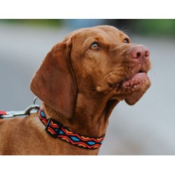 DINGO Obroża regulowna WINNETOU - czarna M