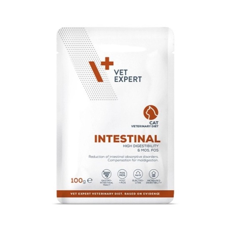 VETEXPERT 4T Vet. Diet Cat Intestinal (saszetka) 100g