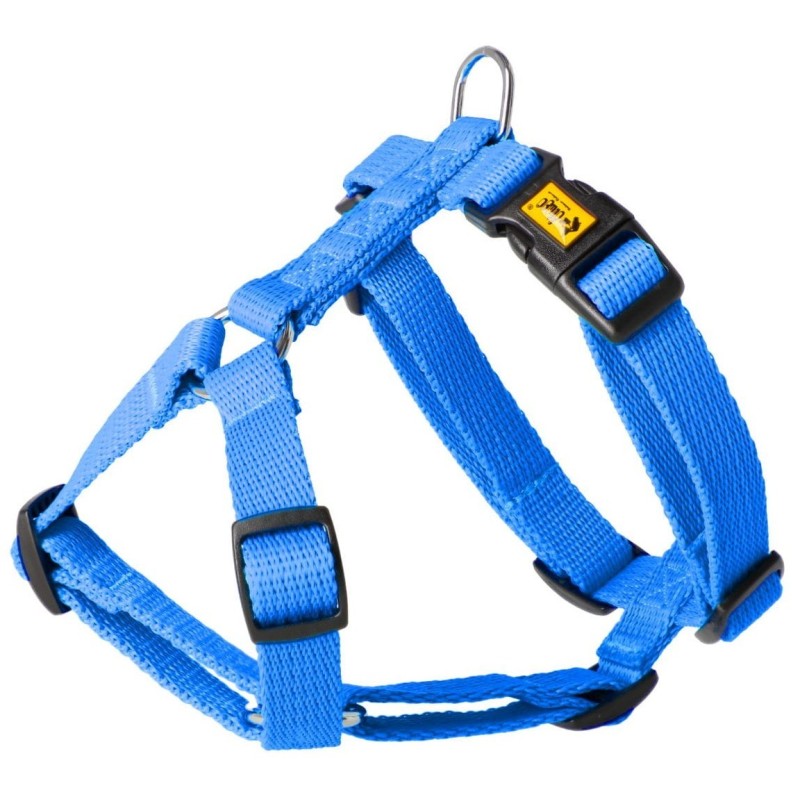 DINGO Szelki z Taśmy Dwupaskowe GUARD ENERGY dwie klamry - niebieskie L