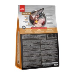 ORIJEN Original Cat 5,4kg PROMO Uszkodzenie