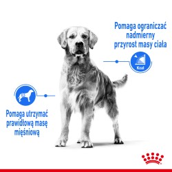 ROYAL CANIN CCN Medium Light Weight Care 12kg PROMO Krótki termin