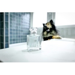 FRANCODEX Perfumy City Zapach - unisex 50ml