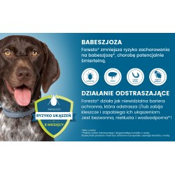 BAYER Obroża Foresto dla psów 70 cm