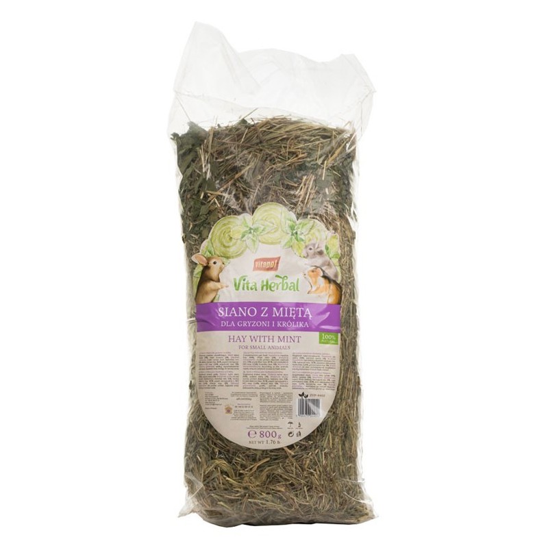 VITAPOL Vita Herbal Siano z Miętą 800g