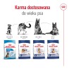 ROYAL CANIN SHN Maxi Adult 26 BF 15kg PROMO Uszkodzenie ubytek