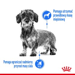 ROYAL CANIN CCN Mini Light Weight Care 8kg PROMO Uszkodzenie ubytek