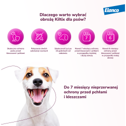 BAYER Obroża Kiltix dla psów 38 cm
