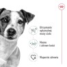 ROYAL CANIN Mini Adult karma sucha dla psów dorosłych, ras małych 4 kg