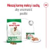 ROYAL CANIN Mini Adult karma sucha dla psów dorosłych, ras małych 4 kg