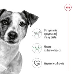 ROYAL CANIN Mini Adult karma sucha dla psów dorosłych, ras małych 800g