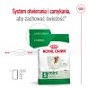 ROYAL CANIN Mini Adult karma sucha dla psów dorosłych, ras małych 2 kg