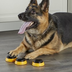 HUNGER FOR WORDS Talking Pet Next Words Names - Imiona