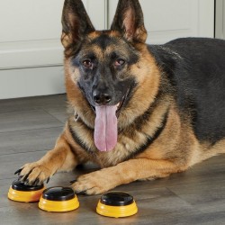 HUNGER FOR WORDS Talking Pet Next Words Names - Imiona