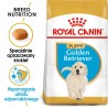ROYAL CANIN BHN Golden Retriever Puppy 12kg PROMO Uszkodzenie