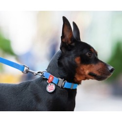 WAUDOG Waterproof obroża wodoodporna z QR-paszportem, metalowa klamra fastex - niebieski XL