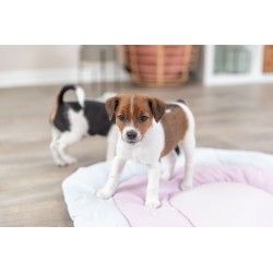 TRIXIE Junior patchwork mata dla szczeniąt/kociąt z welury 68 x 62 cm - miętowy/jasnoliliowy/różowy