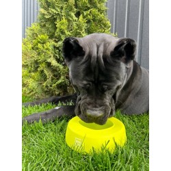 WAUDOG Silicone miska niewysypka, 1 l żółty