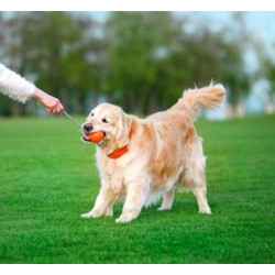 LIKER7 Cord piłka na linie 7cm