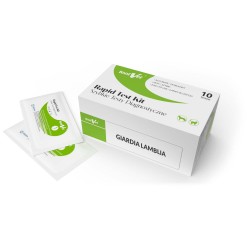 Test diagnostyczny GIARDIA LAMBLIA kartonik 10 szt