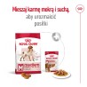ROYAL CANIN Medium Adult karma sucha dla psów dorosłych, ras średnich, do 7 roku życia 4 kg