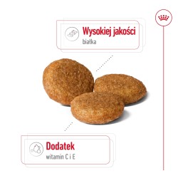 ROYAL CANIN Medium Adult karma sucha dla psów dorosłych, ras średnich, do 7 roku życia 10 kg