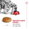 ROYAL CANIN Medium Adult karma sucha dla psów dorosłych, ras średnich, do 7 roku życia 10 kg